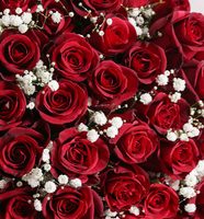 Red Roses
