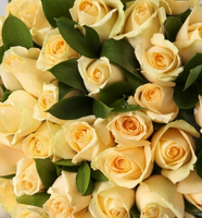 Yellow Roses