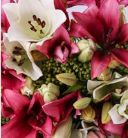 Pastel Pink and White Lillies