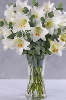 White Lillies in a Glass Vase