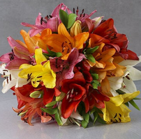 Mixed Lillies