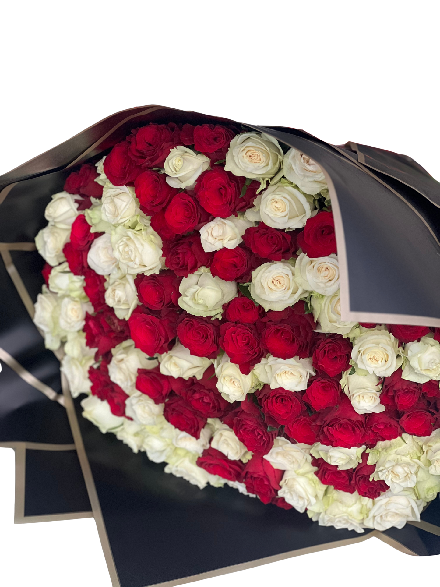 Red and White Roses