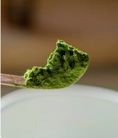 Ceremony Premium Matcha
