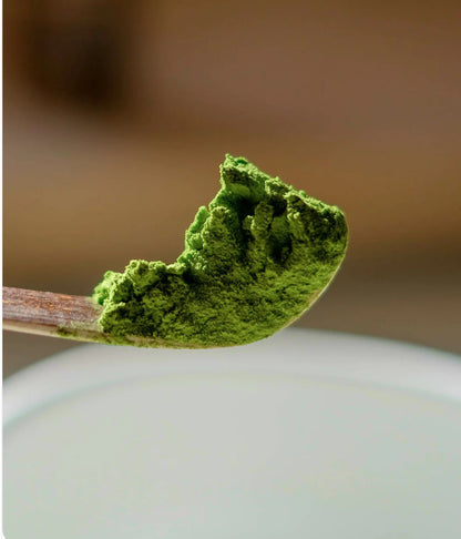 Ceremony Premium Matcha