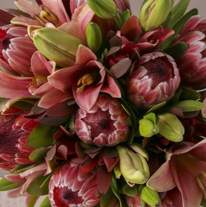 Mixed Proteas and Pink Lillies