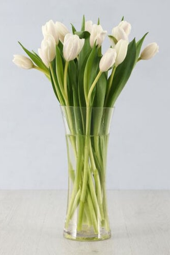 White Tulips