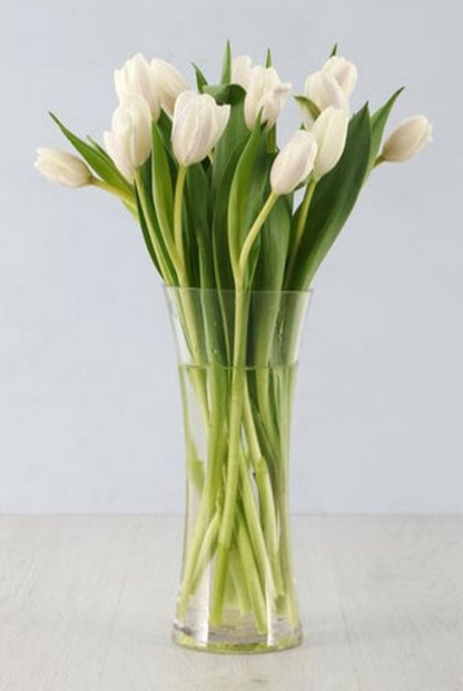 White Tulips